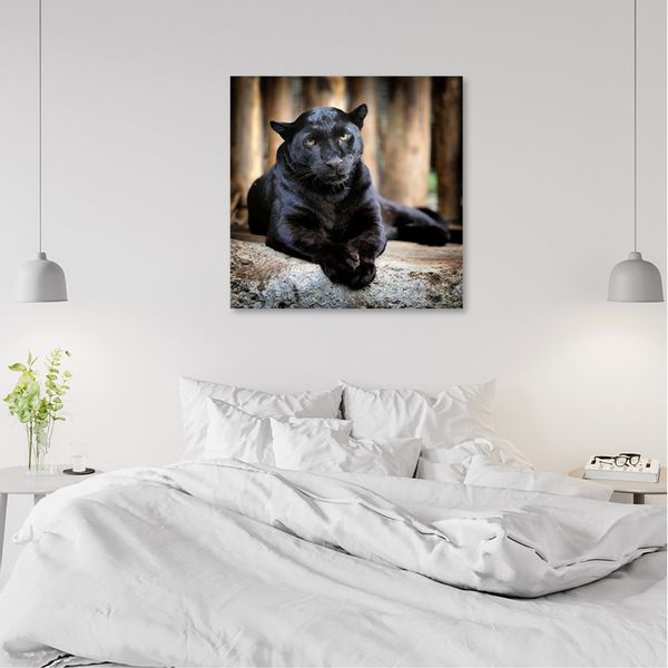 Emaga Obraz na płótnie, Czarna pantera - 40x40 zdjęcie 2