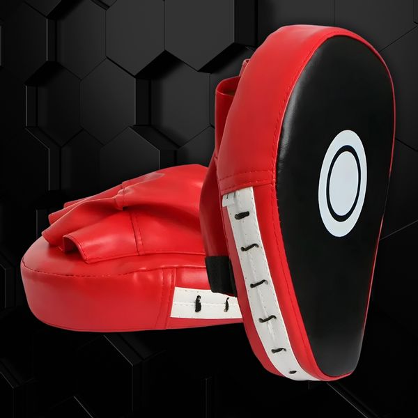 Tarcza bokserska zdjęcie 8