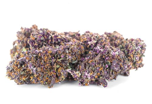 Susz konopny Purple Haze SUPER AMSTERDAM CBD 50g na Arena.pl