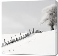 Obraz 90x90cm Samotność Zimy przy Płocie