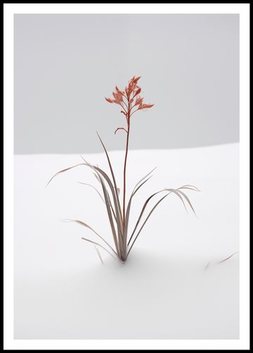 Plakat 68x98cm Subtelność Natury na Arena.pl