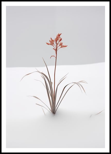 Plakat 68x98cm Subtelność Natury zdjęcie 3