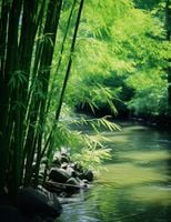 product-compare-59357489