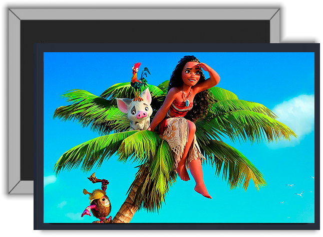 Magnes Vaiana zdjęcie 1