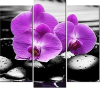 product-compare-58707642