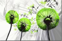 100 70CM OBRAZ PŁÓTNO DMUCHAWCE KOLORZE LIMONKI PŁÓTNO RAMA