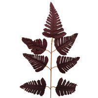 Liść paproci fioletowy 12 szt