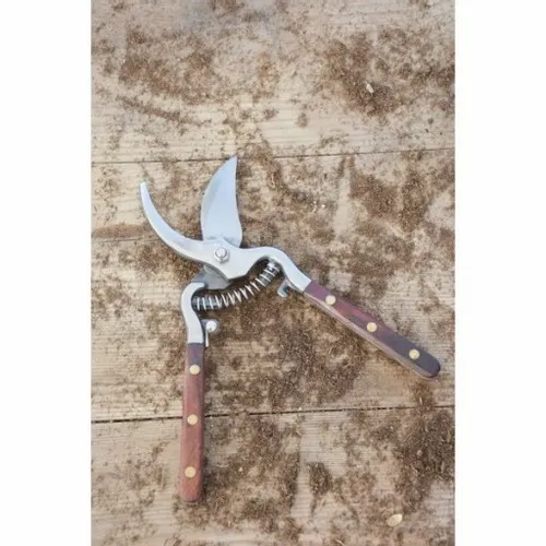 Sekator Legutko na Arena.pl