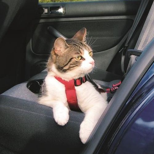 SZELKI SAMOCHODOWE DLA KOTA REGULOWANE Z PASEM SMYCZĄ DO SAMOCHODU TRIXIE na Arena.pl