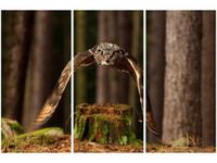 60 90CM OBRAZ 3 ELEM SOWA DRUK PŁÓTNO RAMA