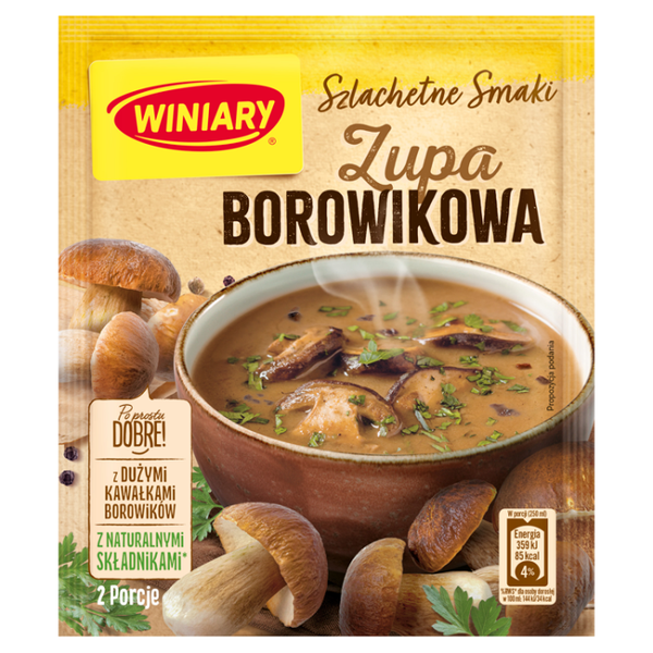 WINIARY ZUPA BOROWIKOWA 45G zdjęcie 1