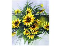 product-compare-58657249