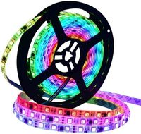 Zestaw taśma Magick WS2811 5m/300 i sterownik LED2017-RF-DIY