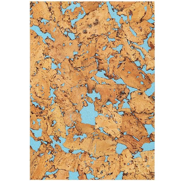 Repti-Zoo Sky Forest Background 20x30cm zdjęcie 1