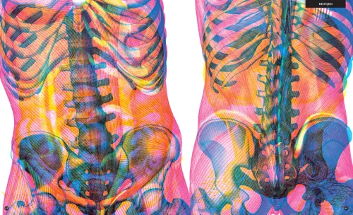 Gabinet anatomii na Arena.pl