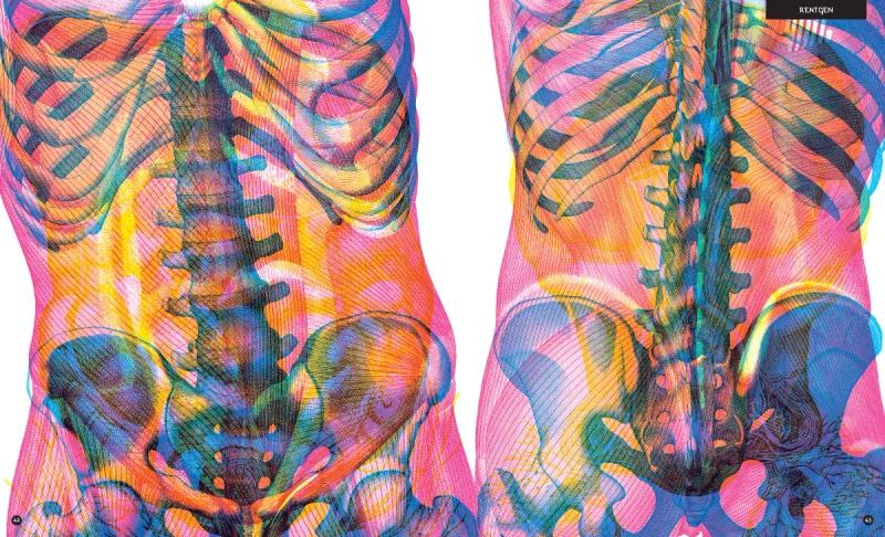Gabinet anatomii zdjęcie 3
