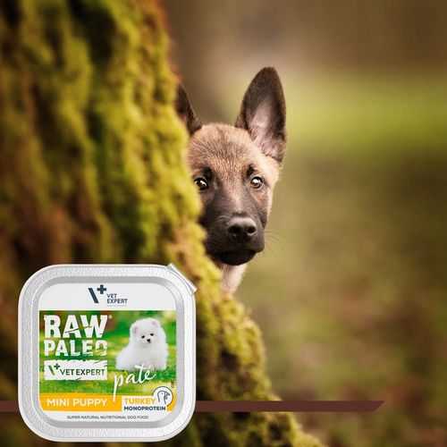 Mokra karma dla szczeniąt małych ras indyk Raw Paleo Pate 12 x 150 g na Arena.pl