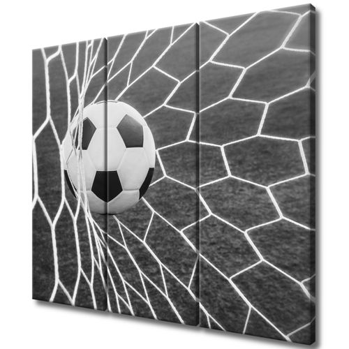 Fotoobraz 90X80 Piłka W Bramce na Arena.pl