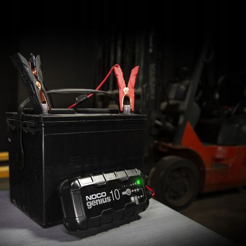 INTELIGENTNA ŁADOWARKA PROSTOWNIK NOCO GENIUS 10 EU 10A 6/12V na Arena.pl