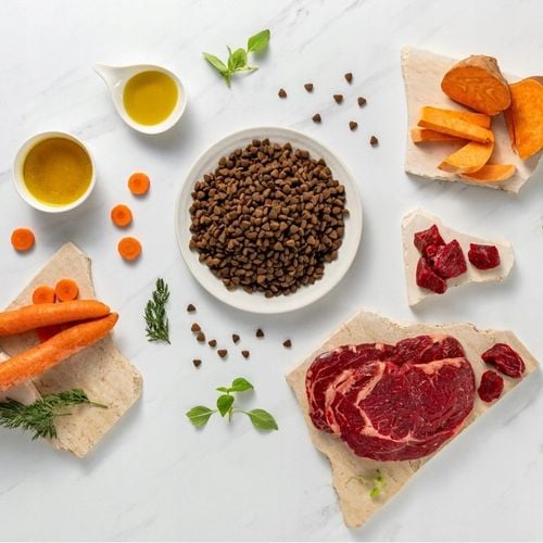 Raw Paleo Ultra Beef Adult Mini 2kg Karma z Wołowiną Dla Psów Ras Małych na Arena.pl