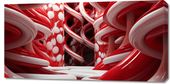Obraz 100x50cm Czerwone Wiry
