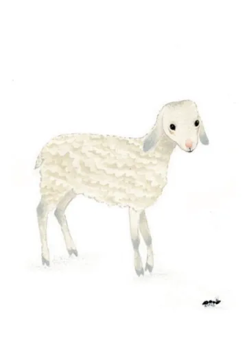 Franciszek, Klara i Antoni na Arena.pl