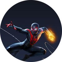 Opłatek na tort Spider Man Człowiek Pająk Postać Bohater Avengers