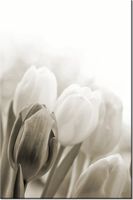 product-compare-58703314