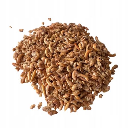 Naturalny Suszony Kiełż Syberyjski Gammarus Pokarm dla Żółwi Gadów 100g na Arena.pl