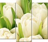 90 80CM OBRAZ T3 ELEM DELIKATNE TULIPANY DRUK ŚCIENNY