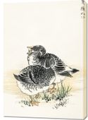 Obraz 70x100cm Black Brant, Kashu Japoński Vintage do Salonu