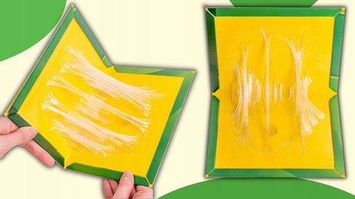 50x PUŁAPKA NA MYSZY SZCZURY MYSZOŁAPKA SILNY KLEJ LEP AROMAT MOCNA na Arena.pl