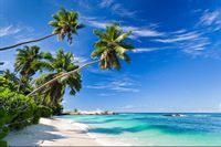 Fototapeta PLAŻA Palmy Ocean Niebo do Sypialni 368cm x 254cm