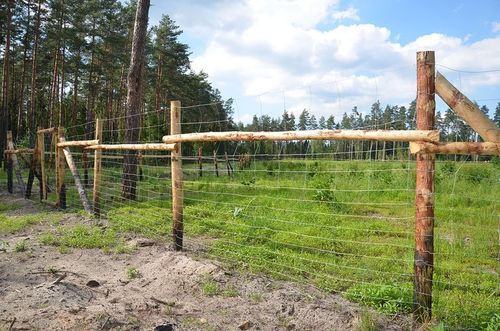 SIATKA LEŚNA OGRODZENIOWA 120/9/30 L 50m + GRATIS na Arena.pl