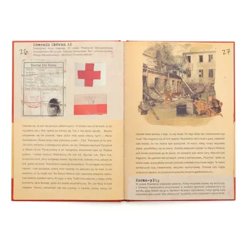 Powstaniec Halicz na Arena.pl