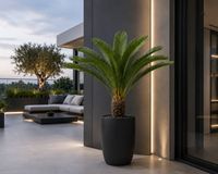 Sztuczna palma z kokosem Cykas Premium 84 cm