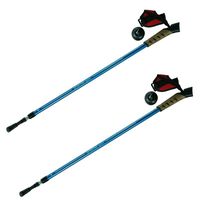 kije trekkingowe spartan nordic walking - niebieskie
