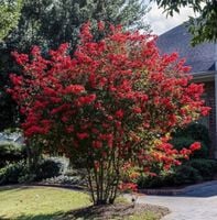 product-compare-63141757