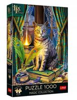 UKŁADANKA Logiczna Hobby PUZZLE Gra Manualna 1000 ELEMENTÓW Księga Cieni