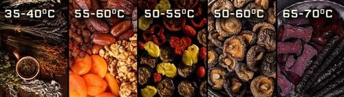 SUSZARKA DO GRZYBÓW OWOCÓW ZIÓŁ WARZYW SPOŻYWCZA REGULACJA TEMPERATURY na Arena.pl