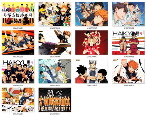 Poduszka Haikyuu!! DO WYBORU na Arena.pl