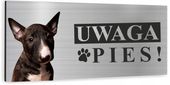 Tabliczka UWAGA ZŁY PIES - BULTERIER aluminiowa