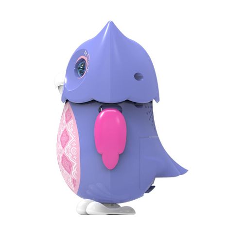 Dumel Śpiewająca Sowa DIGIOWLS Argyll na Arena.pl
