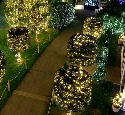 Lampki druciki mikro 500LED 50 METRÓW NA ZIELONYM KABLU na Arena.pl