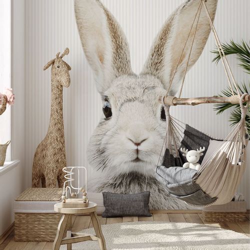 Tapeta Paski Królik Stefan W132 270 cm płótno na Arena.pl