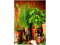 50X70CM PRZYPRAWY ZIOŁOWE OBRAZ PION ŚCIAN