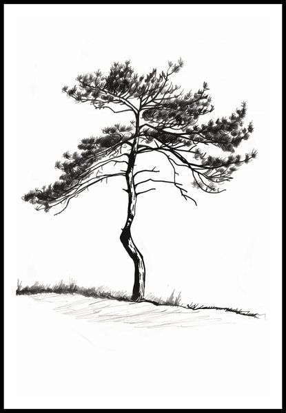 Plakat 61x91,5cm Samotna Sosna zdjęcie 3
