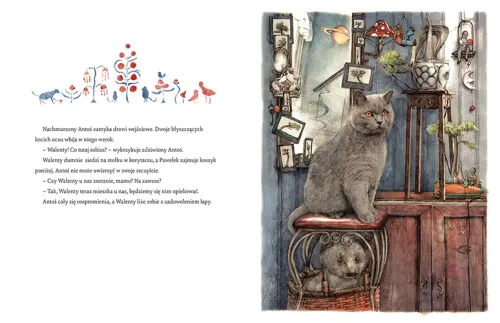 Nocny kotek na Arena.pl