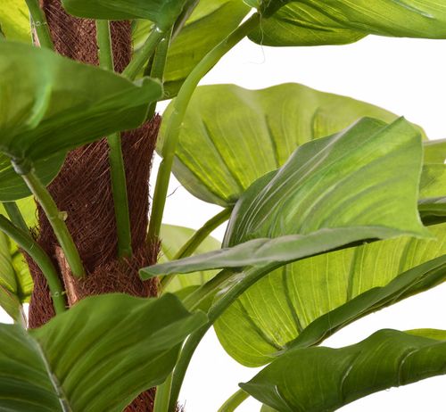 Pothous drzewko na Arena.pl