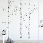 Naklejki Brzozy DK325